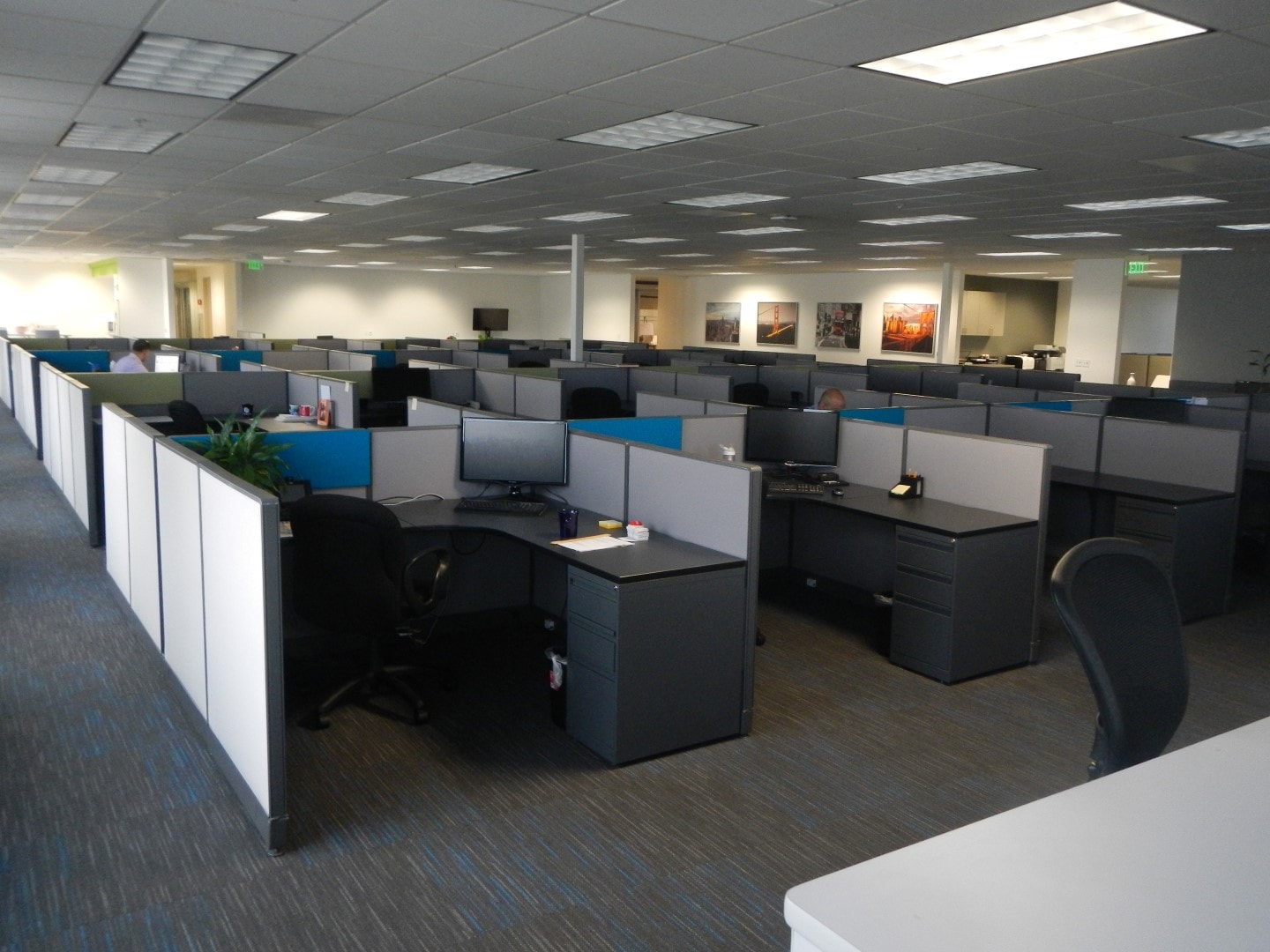 Cubicles in a large room